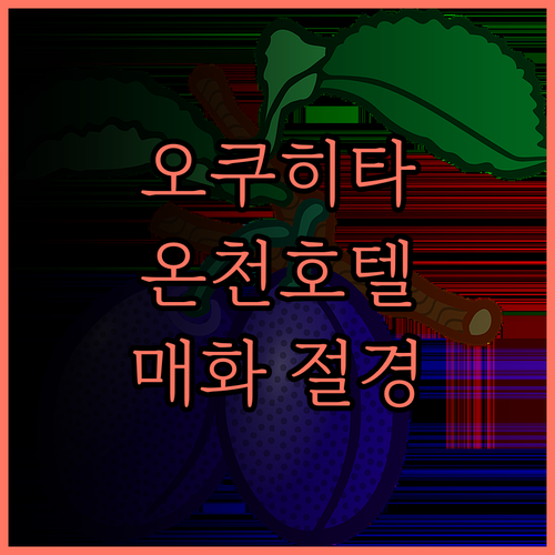 오쿠히타 온센 우메히비키 숙소 후기 