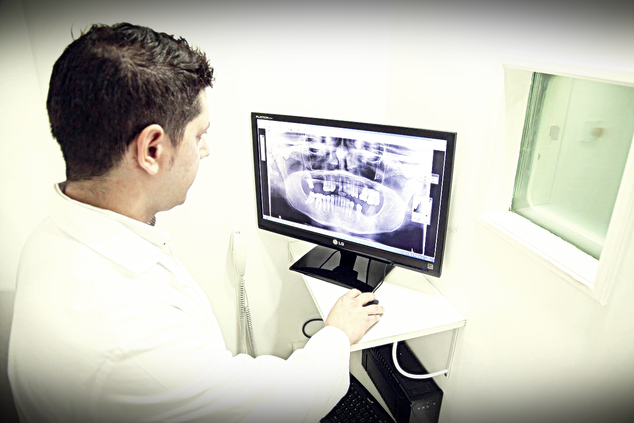 빈대의 문제점3