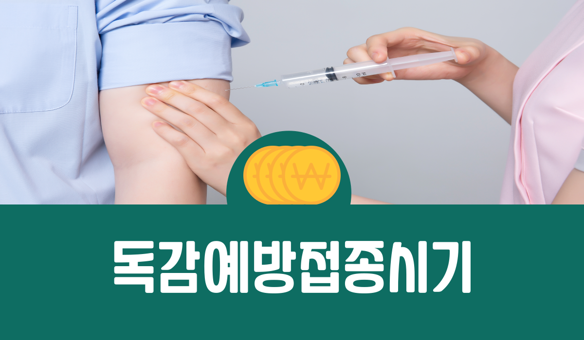 독감예방접종시기