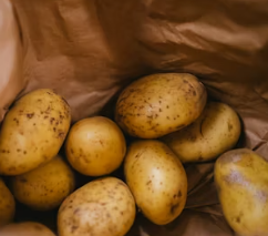 두통에 좋은 음식 영양제 식단