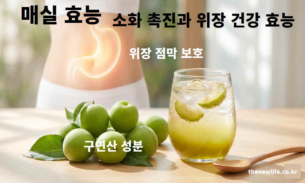 매실 효능 소화 촉진 위장 건강