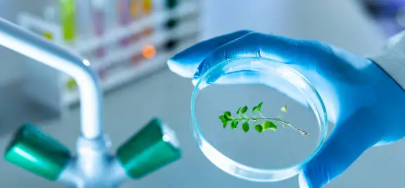 생물학적 제제와 바이오시밀러의 개발 동향