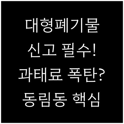 대형폐기물 신고 없이 배출 시 과태료..