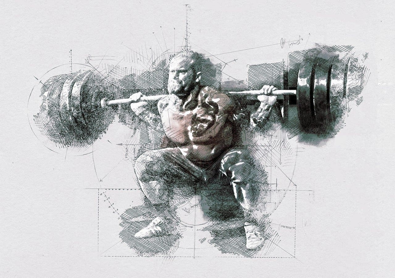 헬린이를 위한 효과적인 3분할 웨이트 트레이닝 루틴 설계법