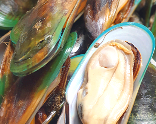 초록잎홍합 효능