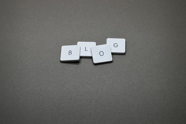 블로그 관련 이미지