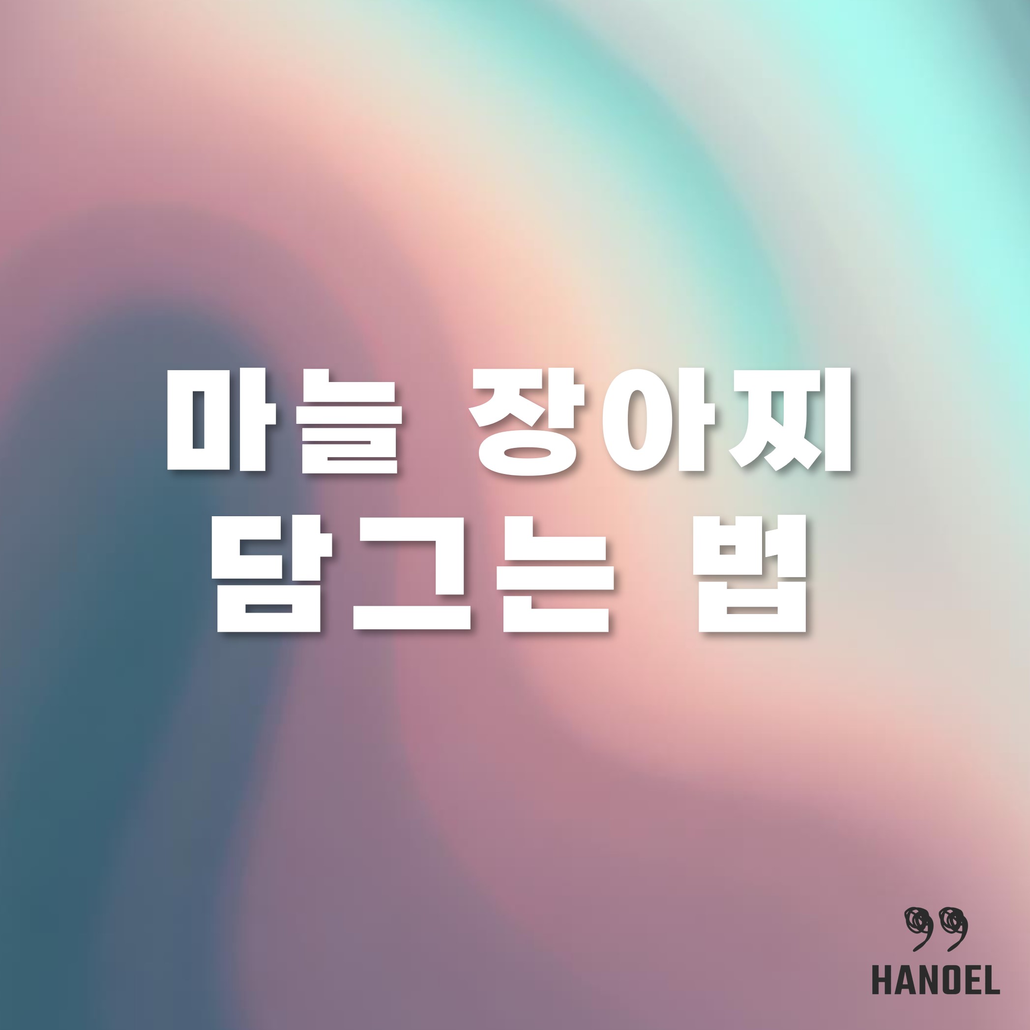 성인병 예방에 좋은 마늘 장아찌 담그는법 레시피 비율