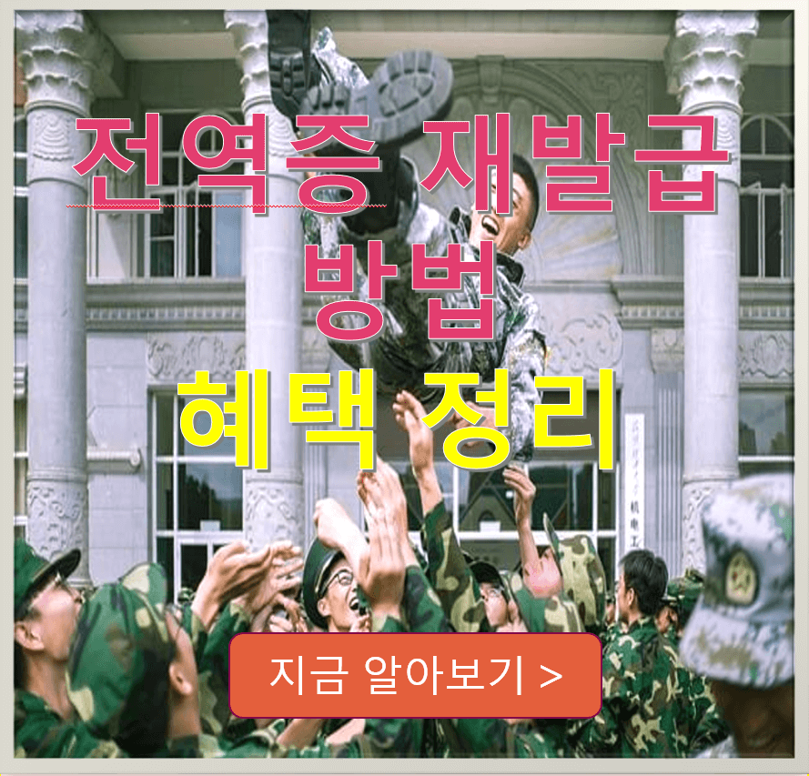 군인 전역 사진