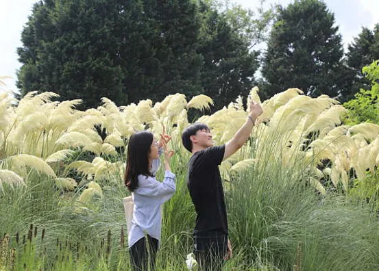 천리포수목원