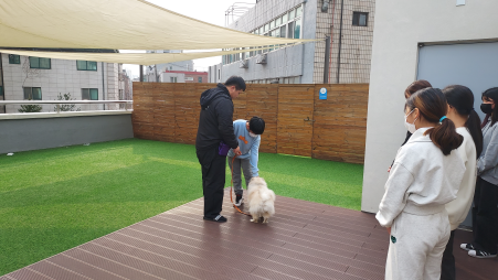 반려동물 안심학교