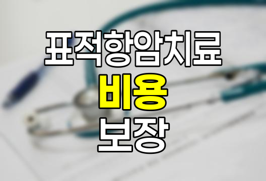 표적항암치료 비용과 보험 보장의 실태
