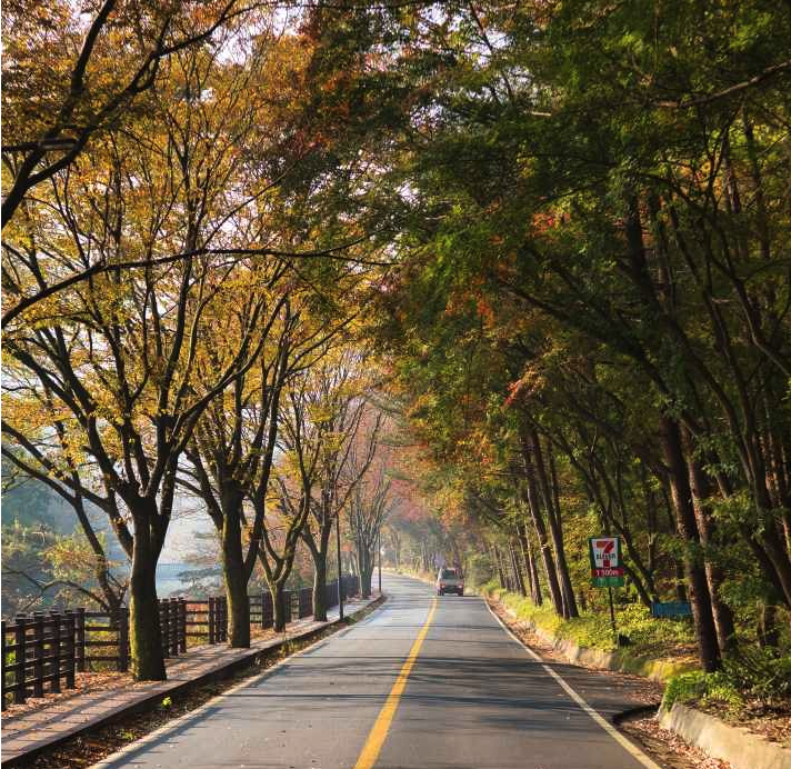 치악산 등산코스, 지도, 추천 등 3분 총정리