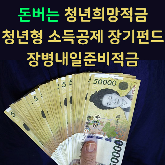 청년희망적금,청년형 소득공제 장기펀드,장병내일준비적금