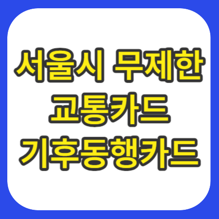 무제한-교통카드