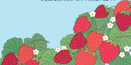 논산딸기축제 주차장