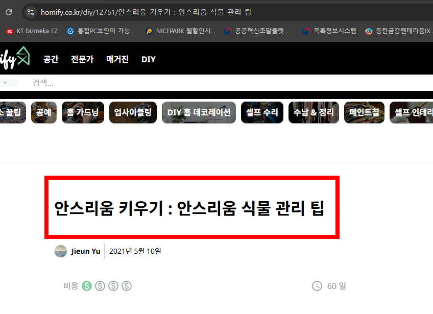안스리움 관리법 알아보기