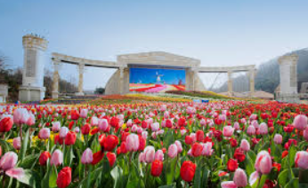 에버랜드 튤립축제 관련 이미지