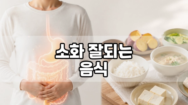 소화잘되는 음식