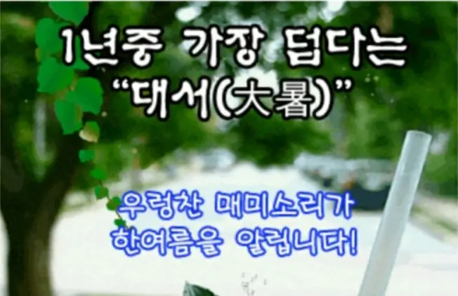 대서 인사말 이미지