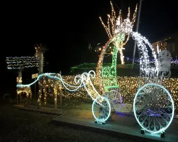 고니골 빛축제_26