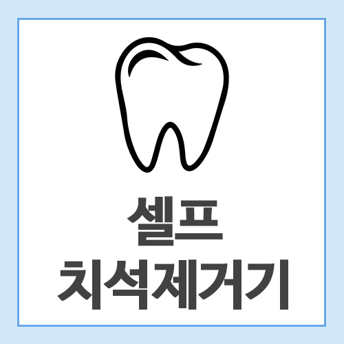 셀프-치석제거기