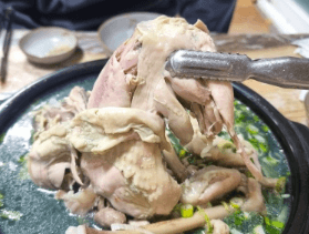 2024 곡성장미축제 주차장 가는방법 맛집7