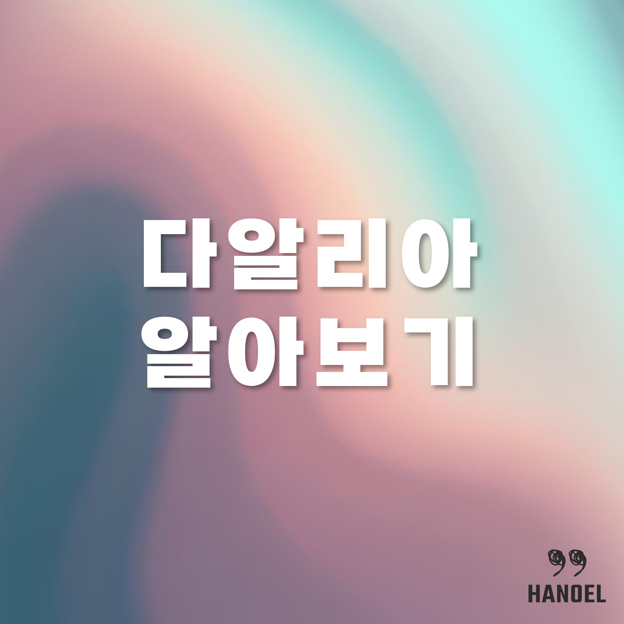 다알리아 알아보기 꽃말과 키우기