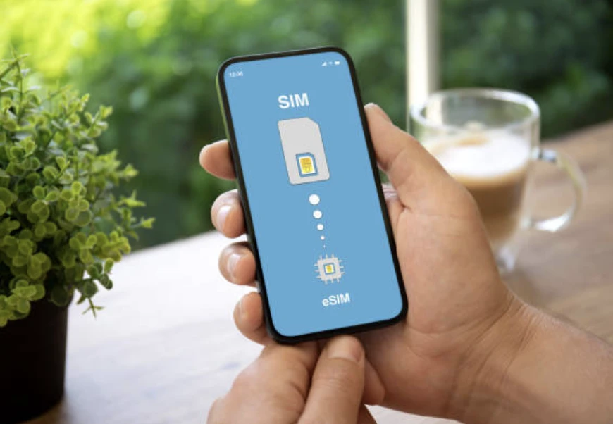 eSIM 지원 단말기