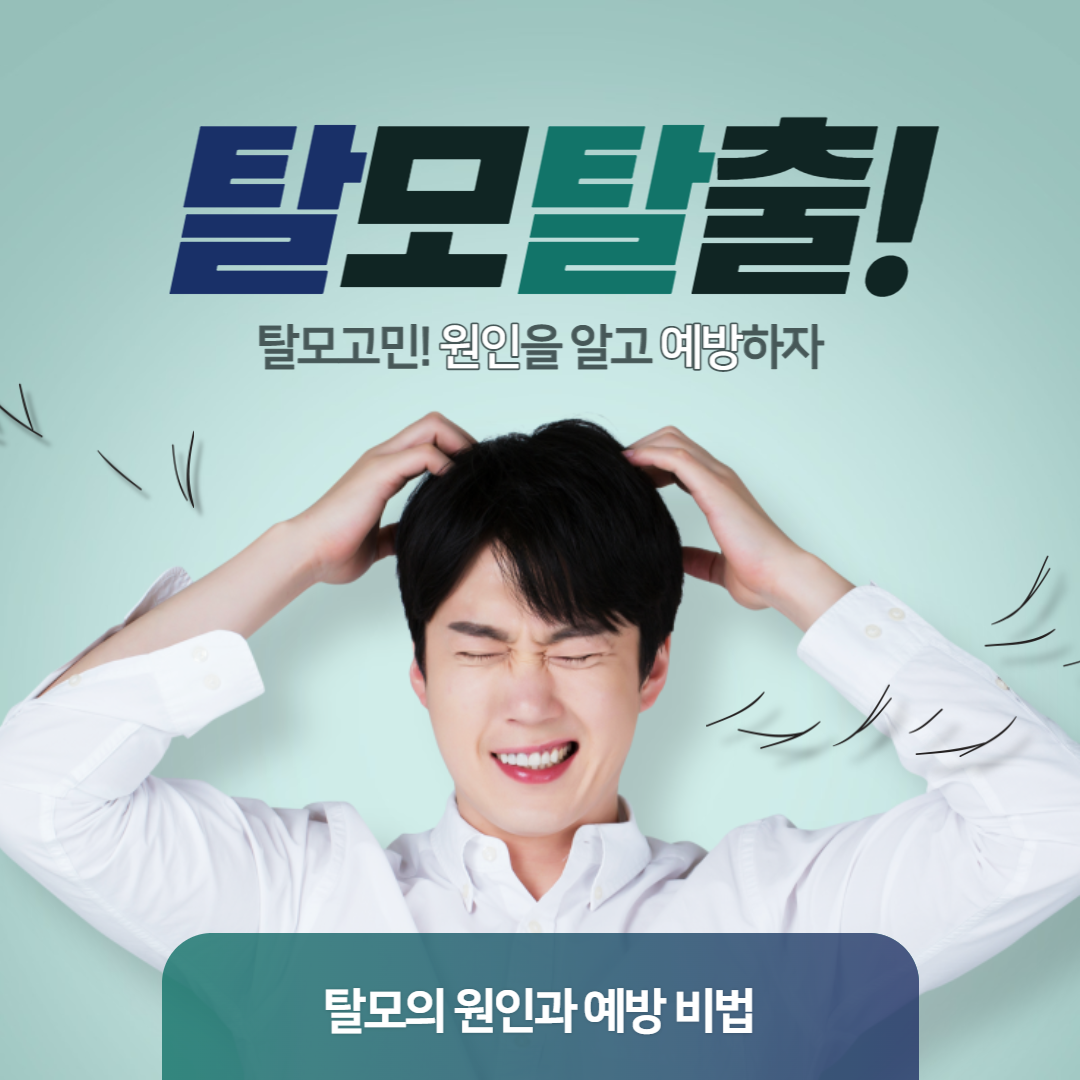 탈모 원인과 효과적인 예방 비법