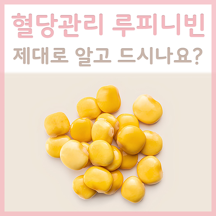 신선한-루피니빈-모습