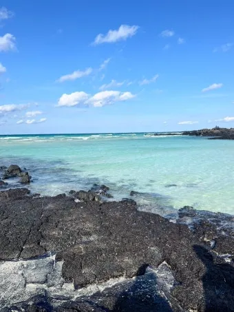 4월 제주도 가볼만한곳 2025년 10선_14