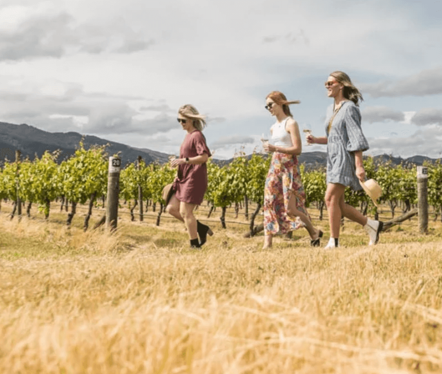 말보로 소비뇽 블랑&amp;#44; 와인 초보를 위한 완벽 가이드