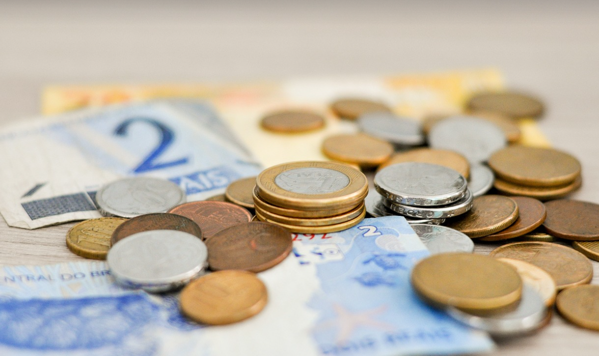 사회초년생 첫차 관련 이미지