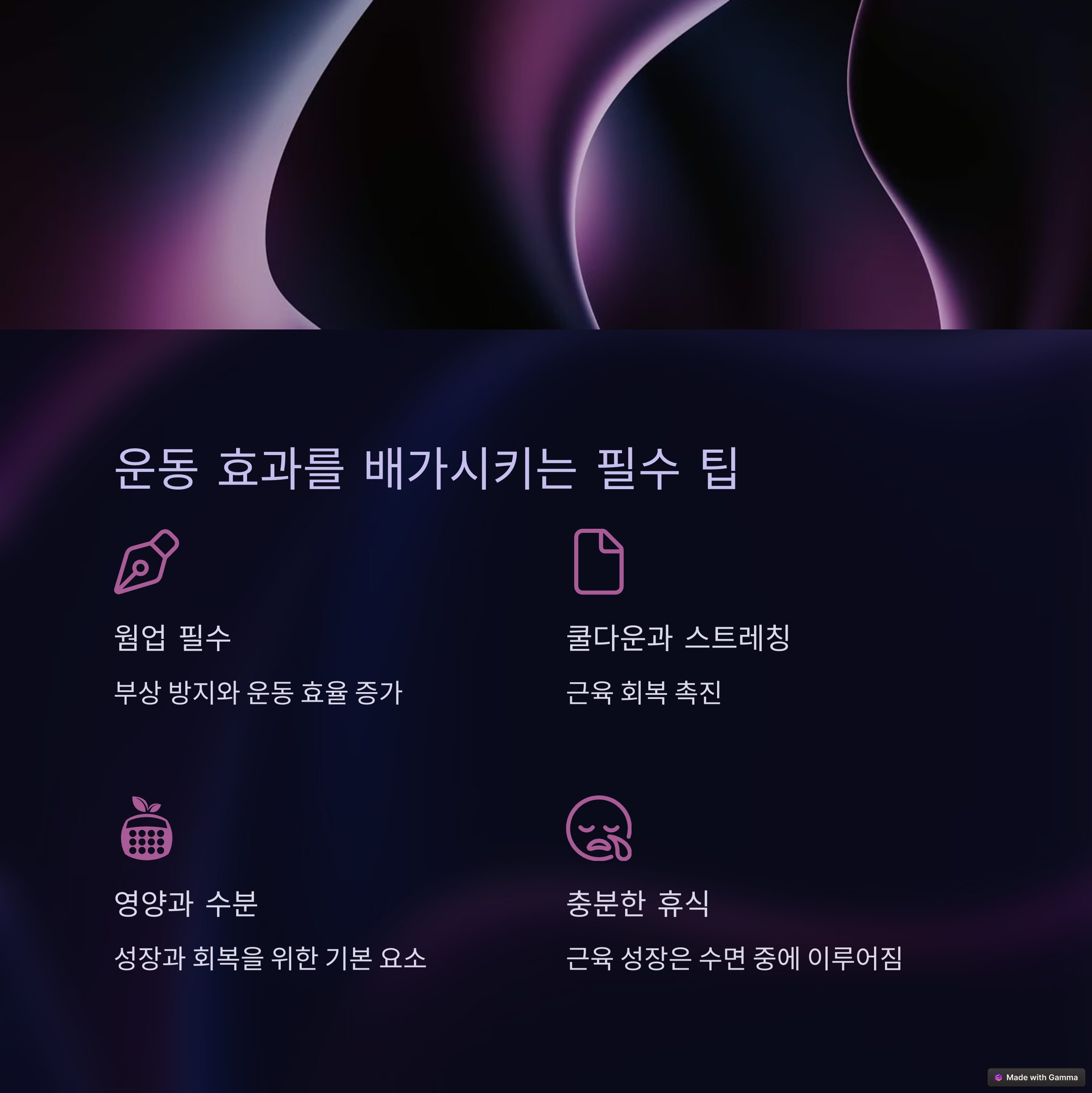 운동 프로그램 분석