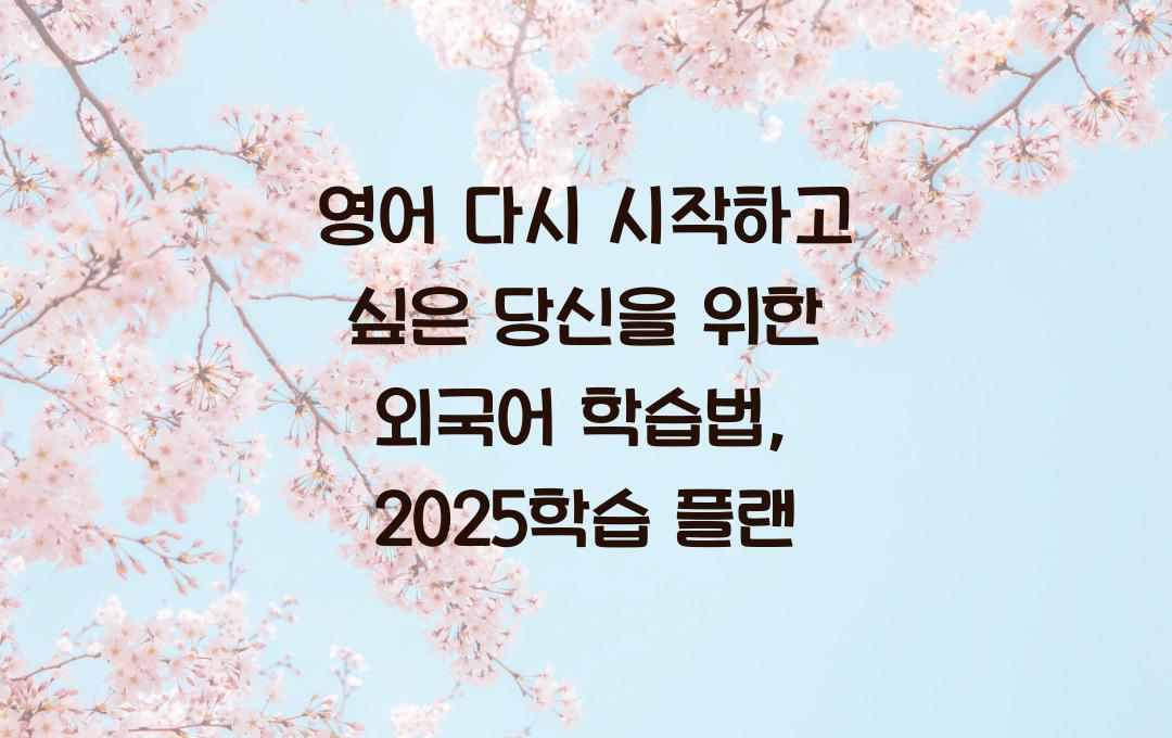 영어 다시 시작하고 싶은 당신을 위한 외국어 학습법