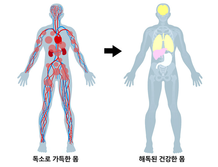 해독