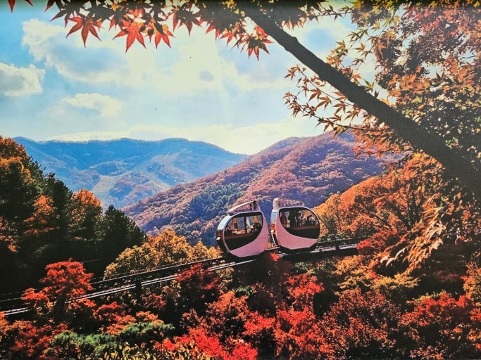 화담숲 단풍 축제