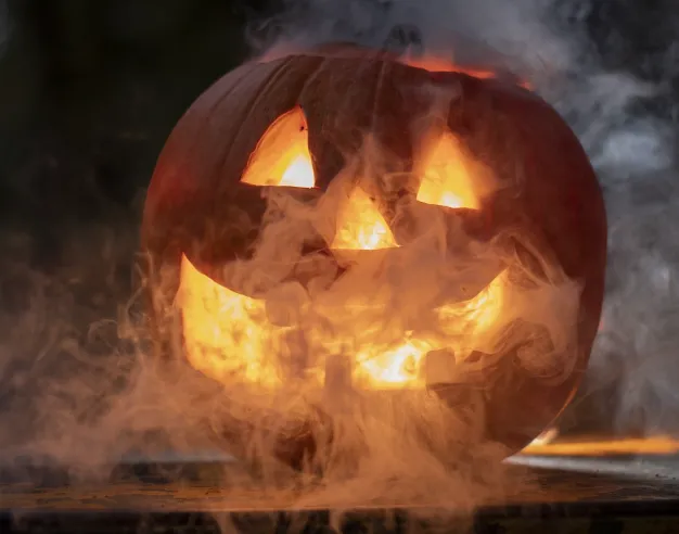 할로윈 코스튬 추천 축제 추천 에버랜드 호러메이즈