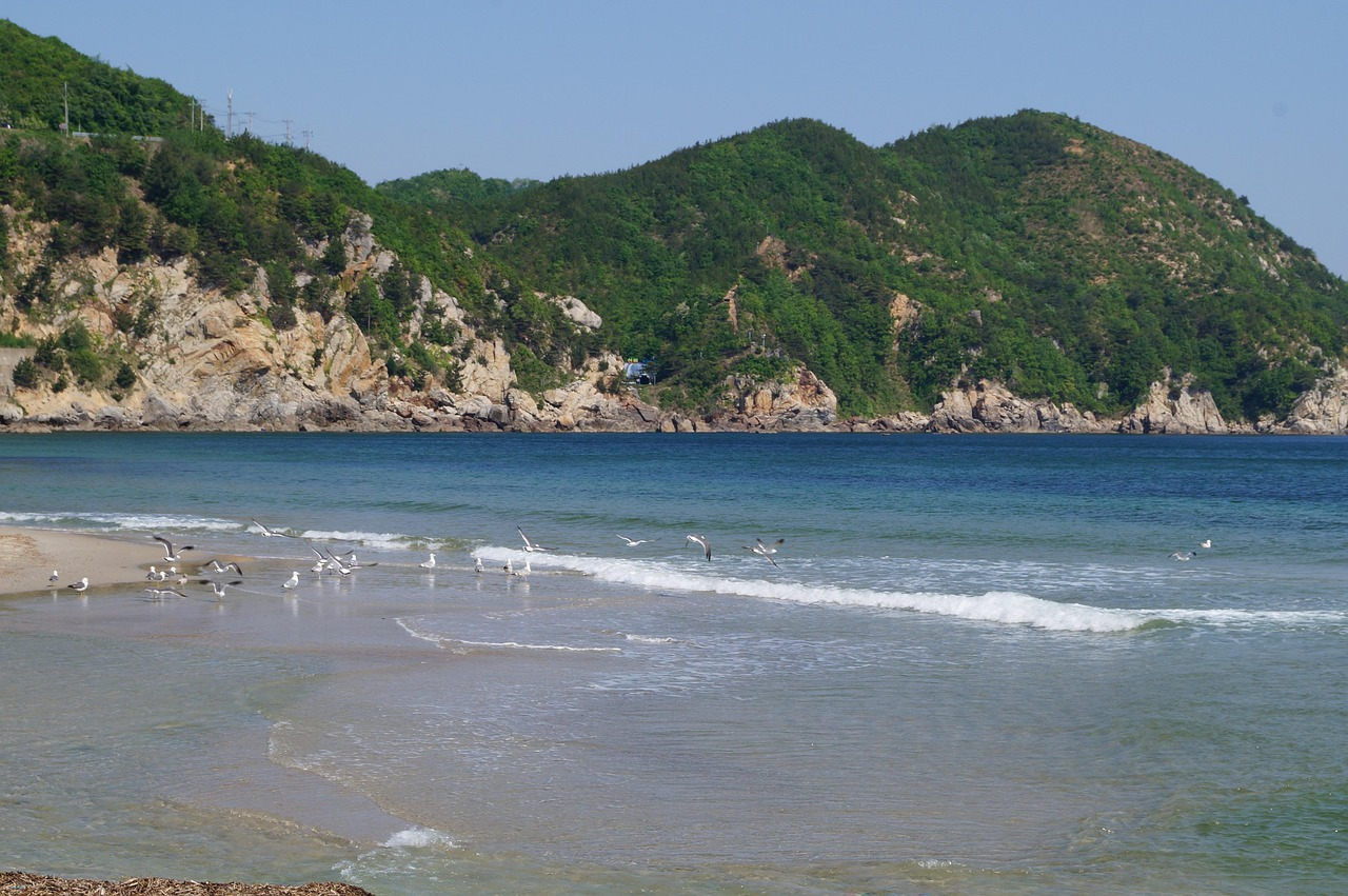 2026년 삼척 부동산 정보 관련 사진