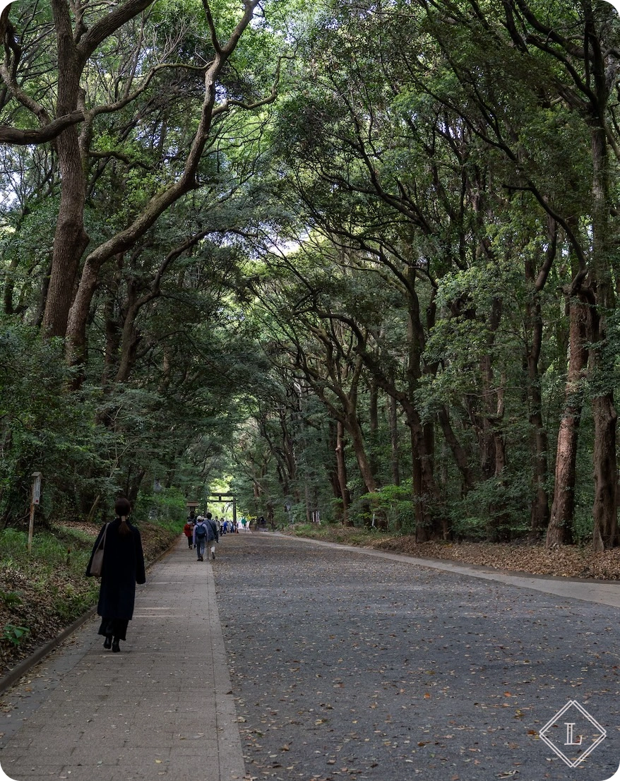 메이지 신궁 숲길 02