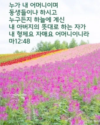 생활성가 아버지 뜻대로 현정수 사도요한 악보_24