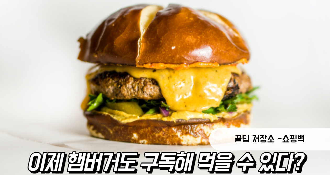 버거킹 햄버거 월구독 서비스