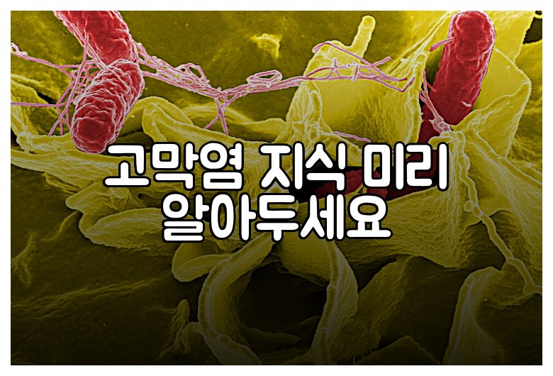 고막염 지식 미리 알아두세요
