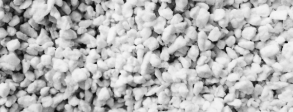 펄라이트 흙: 중성, 알칼리성 식물