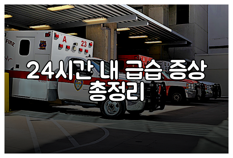 24시간 내 급습 증상 총정리