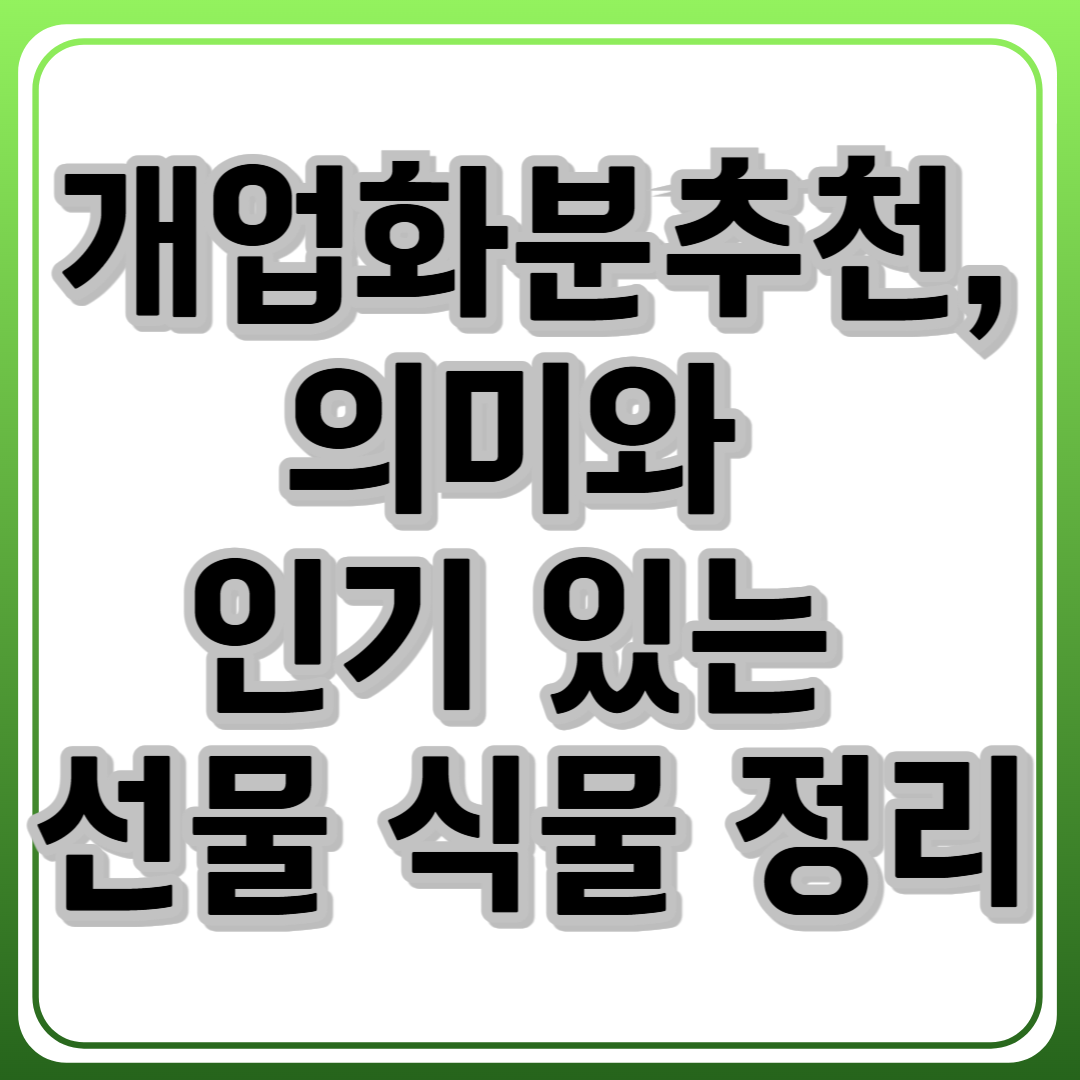 개업화분추천, 의미와&nbsp;인기 있는&nbsp;선물 식물 정리