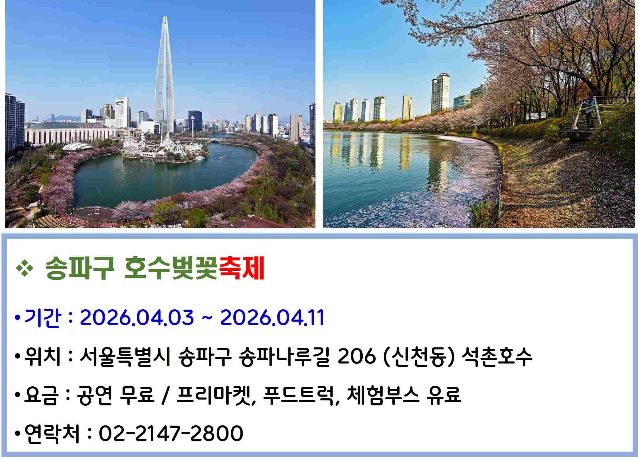 송파구 호수벚꽃축제