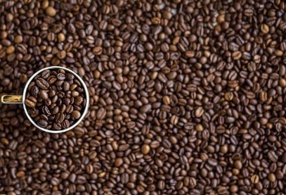 겨울철 국내 여행지