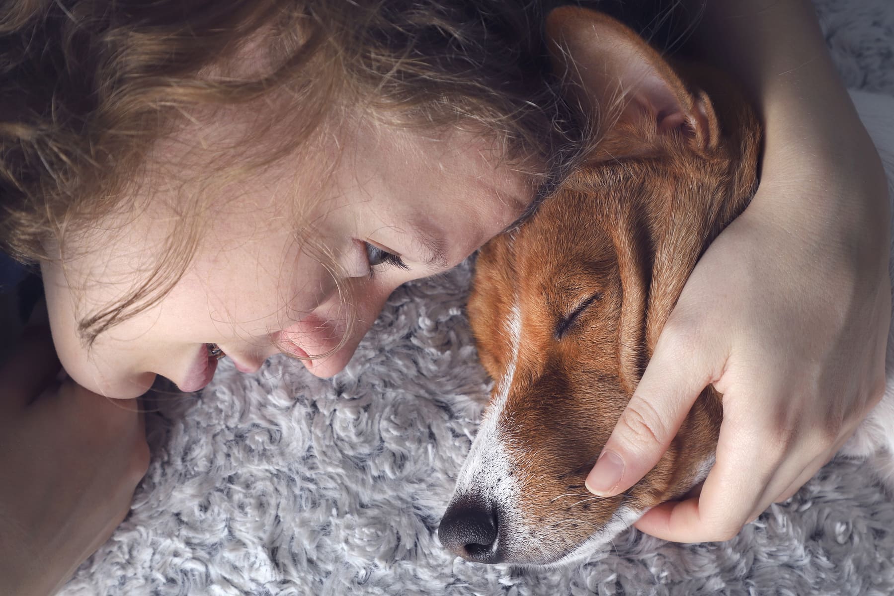 굿바이!...우리 댕댕이!..."그동안&nbsp;고마웠어"&nbsp;: 죽음 대처법
