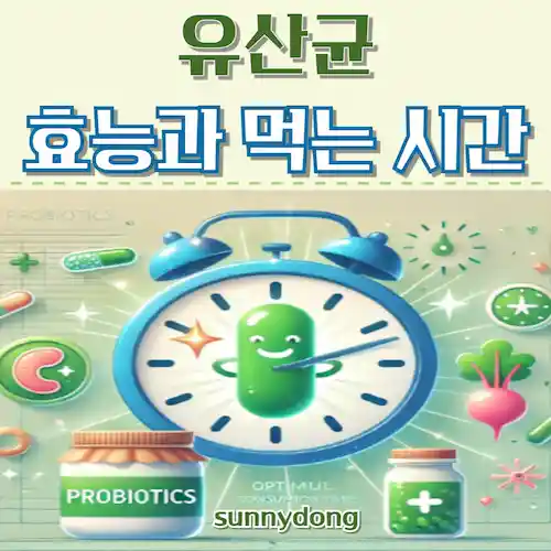 유산균 효능과 먹는 시간, 최적의 건강 비결